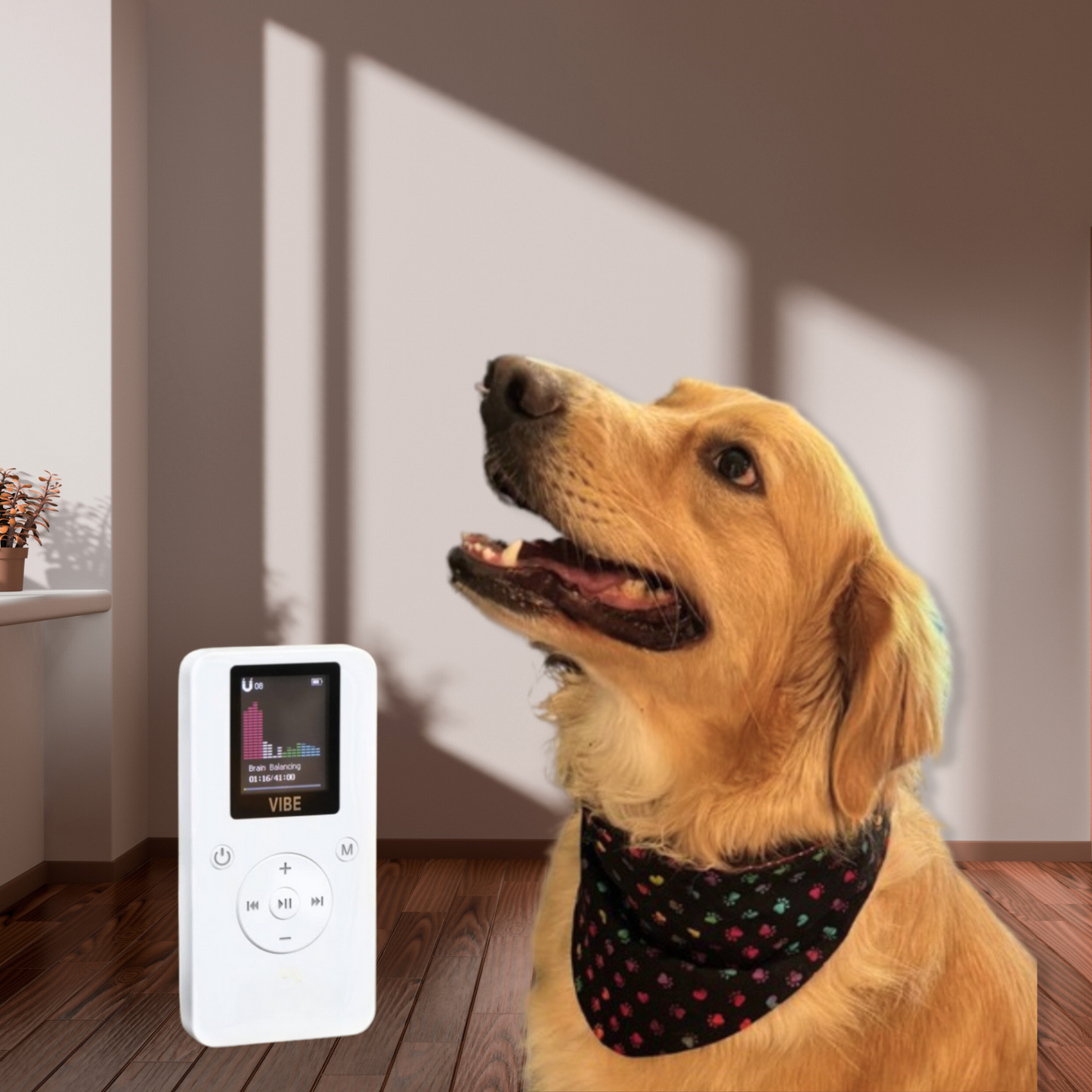 PEMF for ALL - PEMF Therapy Devices