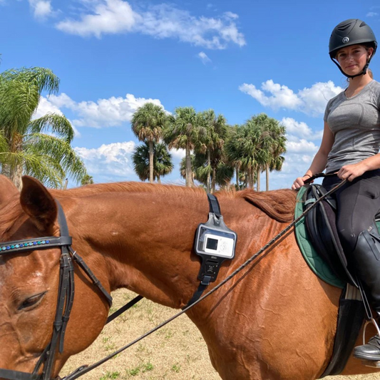 Vibe Equi-vibe Bundle