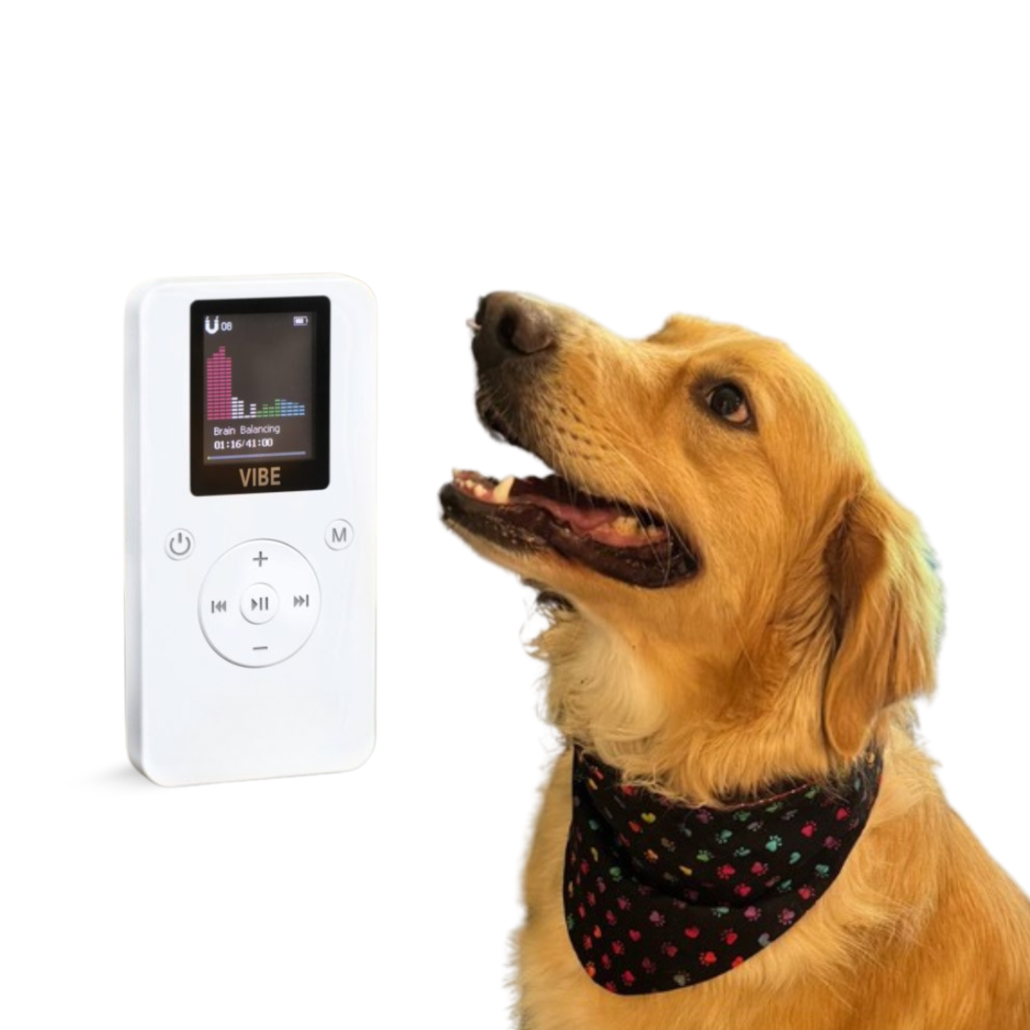 VIBE Dog Bandana Bundle